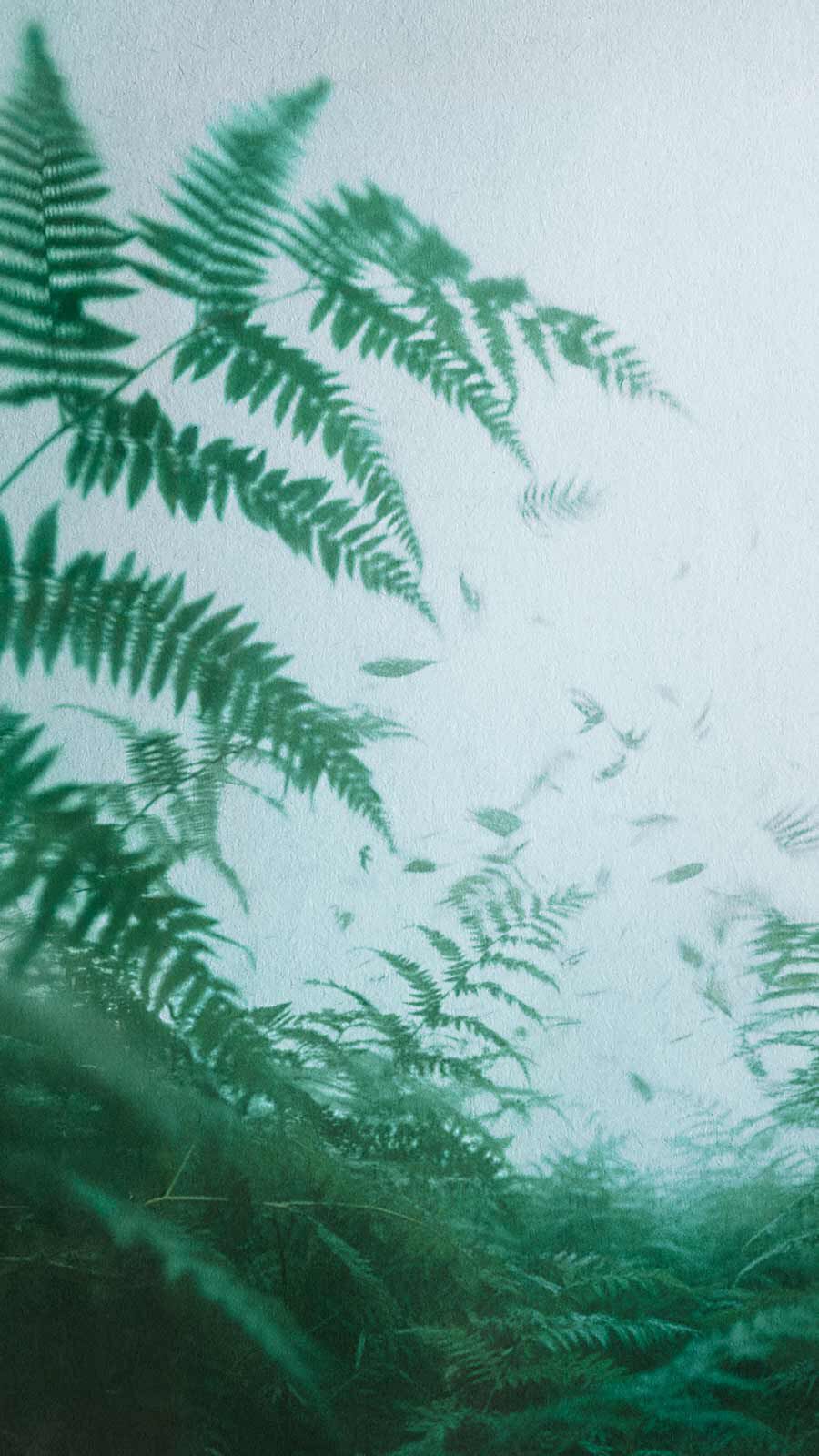 Lush green fern fronds silhouetted against a misty grey-white background.