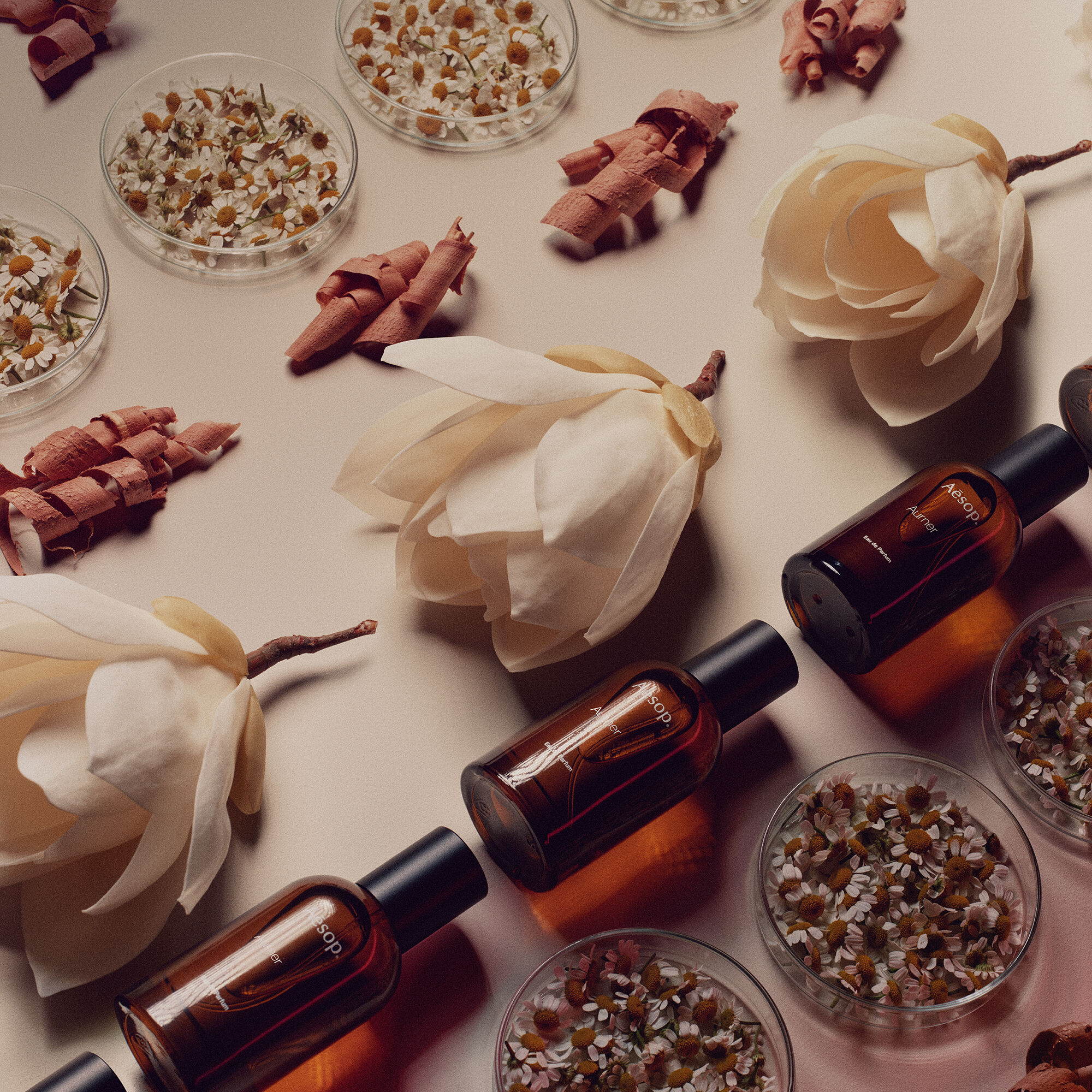 Aurner Eau de Parfum | Aesop New Zealand
