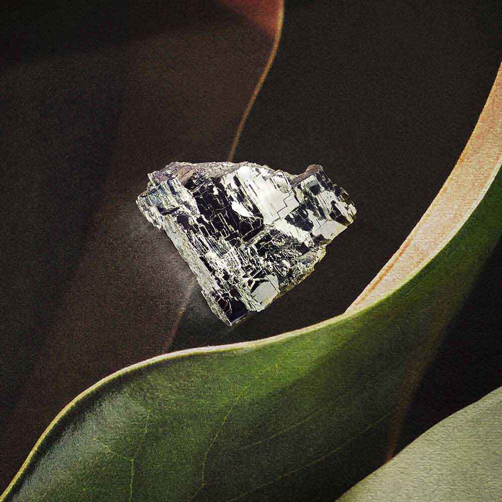 Mineral fragment resting on a broad green leaf.